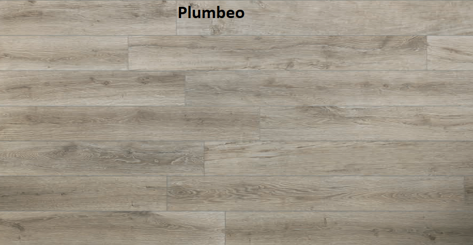 Plumbeo