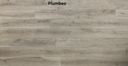 Plumbeo