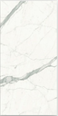 Bianco Venato Extra