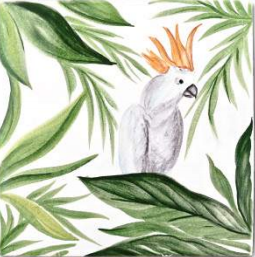 La Java Du Cacatoes