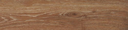 Bambu