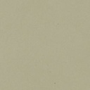 Salvia