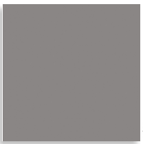 Iron