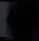 Noir Brillant 