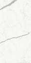Bianco Venato