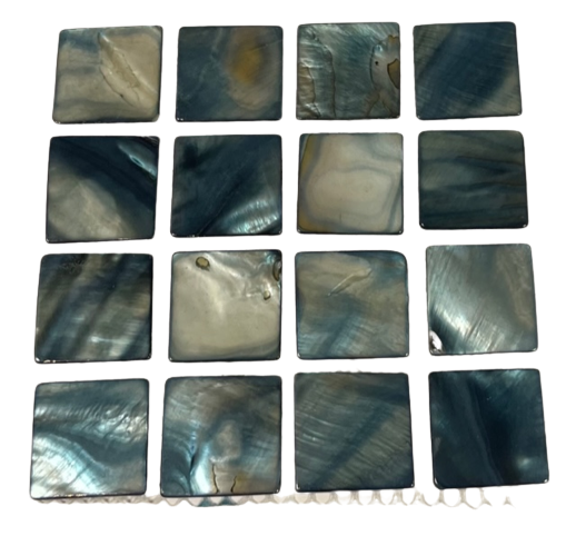 Nacre Bleu et Blanche - 2,5 x 2,5 cm, a la plaque