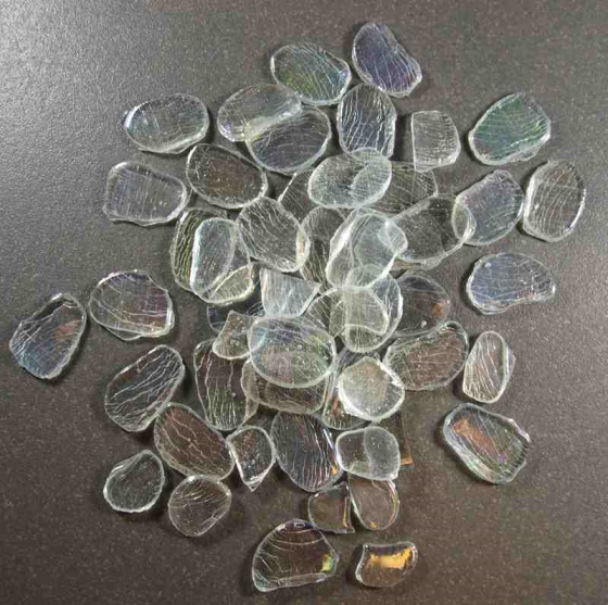 [Derniers stocks] Pétales Transparents Irisés