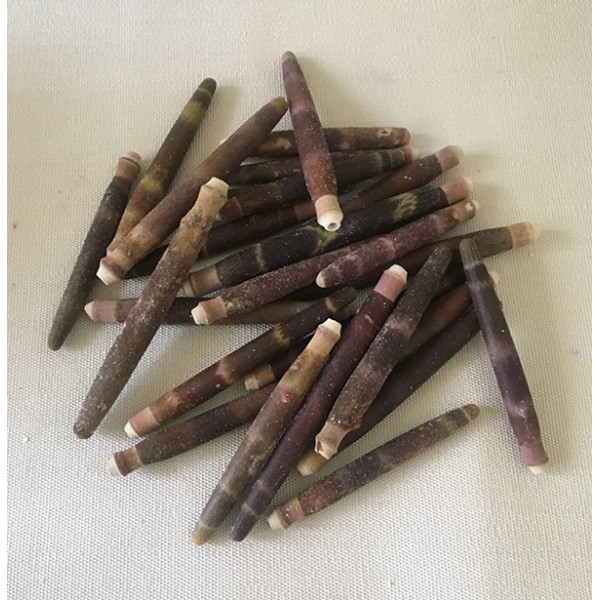 Coquillage - Piquant d'Oursin 3-7 cm, par 100g