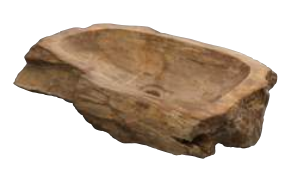 [ISLAMFOSS] Fossil - Vasque à Poser - D. 26-46 cm
