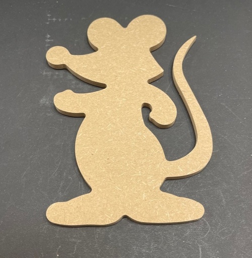 Souris Fun 11 x 15 cm N°20